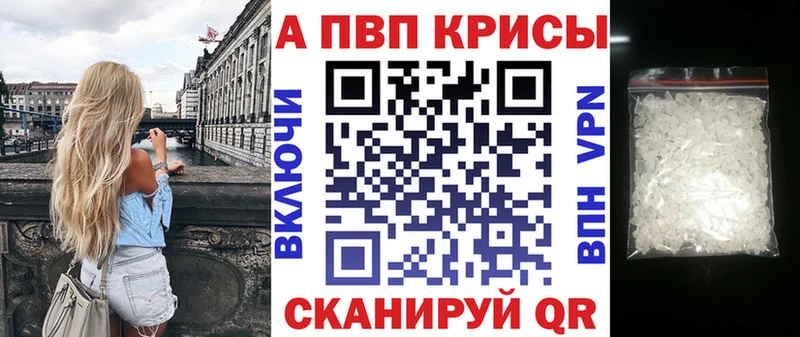APVP СК  Звенигород 