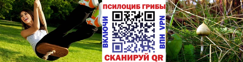 как найти наркотики  Звенигород  МЕГА ONION  Галлюциногенные грибы мицелий 