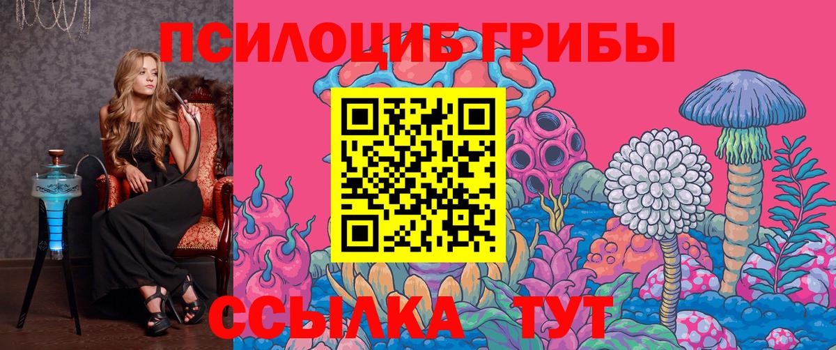 Галлюциногенные грибы Cubensis  Вход с VPN  Галлюциногенные грибы мухоморы  Звенигород 
