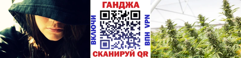 Бошки марихуана сатива  Звенигород 